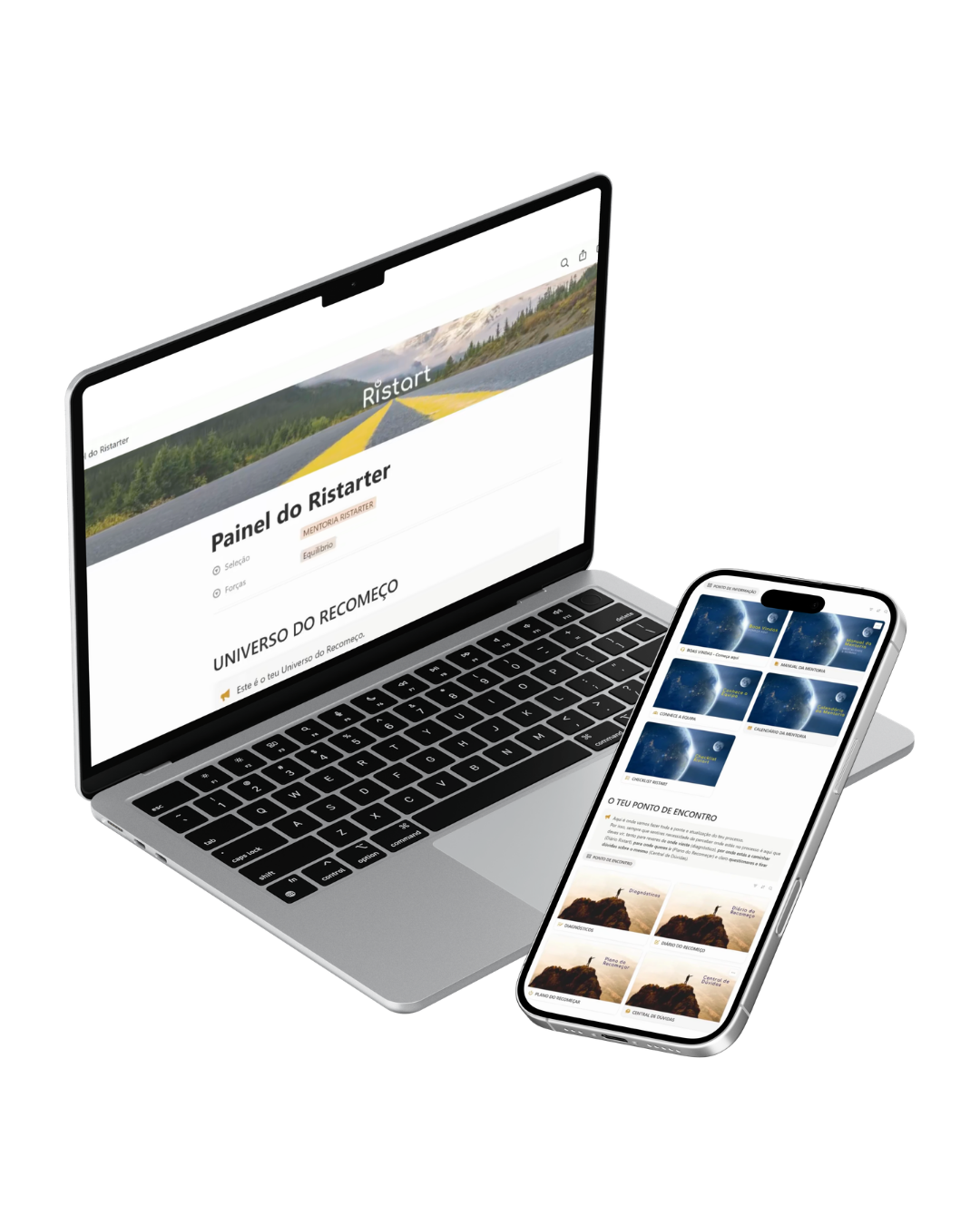 Painel Ristarter em Notion